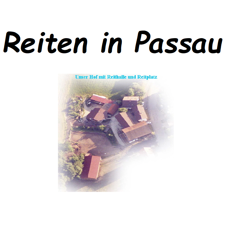 Reitbeteiligung Reiten Grubweg Passau Michael Krompa informiert Sie gerne.